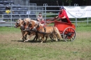 Eurocheval-Pferdemesse-270714-Offenburg-Bodensee-Community-SEECHAT_DE-IMG_0318.JPG