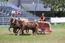 Eurocheval-Pferdemesse-270714-Offenburg-Bodensee-Community-SEECHAT_DE-IMG_0333.JPG