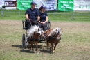 Eurocheval-Pferdemesse-270714-Offenburg-Bodensee-Community-SEECHAT_DE-IMG_0398.JPG