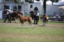 Eurocheval-Pferdemesse-270714-Offenburg-Bodensee-Community-SEECHAT_DE-IMG_9389.JPG