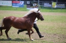 Eurocheval-Pferdemesse-270714-Offenburg-Bodensee-Community-SEECHAT_DE-IMG_9403.JPG