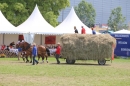 Eurocheval-Pferdemesse-270714-Offenburg-Bodensee-Community-SEECHAT_DE-IMG_9657.JPG