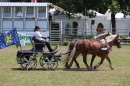 Eurocheval-Pferdemesse-270714-Offenburg-Bodensee-Community-SEECHAT_DE-IMG_9759.JPG