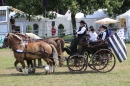 Eurocheval-Pferdemesse-270714-Offenburg-Bodensee-Community-SEECHAT_DE-IMG_9778.JPG