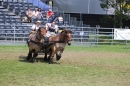 Eurocheval-Pferdemesse-270714-Offenburg-Bodensee-Community-SEECHAT_DE-IMG_9794.JPG