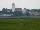 Flohmarkt-Oggelshausen-140802-SEECHAT-_111_.JPG