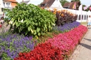 Fischerstechen-Langenargen-030814-Bodensee-Community-Seechat_de--5844.jpg