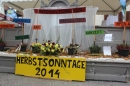 Winzerfest-Hallau-SH-12102014-Bodensee-Community-SEECHAT_CH-IMG_8515.JPG