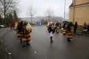 Festumzug-Fasnet-2015-Stockach-Bodensee-Community-SEECHAT_DE-IMG_0106.JPG