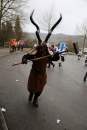 Festumzug-Fasnet-2015-Stockach-Bodensee-Community-SEECHAT_DE-IMG_0115.JPG