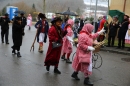 Festumzug-Fasnet-2015-Stockach-Bodensee-Community-SEECHAT_DE-IMG_0121.JPG