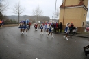 Festumzug-Fasnet-2015-Stockach-Bodensee-Community-SEECHAT_DE-IMG_0170.JPG