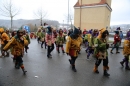 Festumzug-Fasnet-2015-Stockach-Bodensee-Community-SEECHAT_DE-IMG_0246.JPG