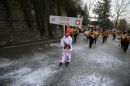 Festumzug-Fasnet-2015-Stockach-Bodensee-Community-SEECHAT_DE-IMG_0339.JPG