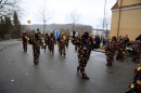 Festumzug-Fasnet-2015-Stockach-Bodensee-Community-SEECHAT_DE-IMG_0360.JPG