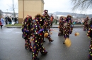 Festumzug-Fasnet-2015-Stockach-Bodensee-Community-SEECHAT_DE-IMG_0364.JPG