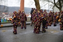 Festumzug-Fasnet-2015-Stockach-Bodensee-Community-SEECHAT_DE-IMG_0368.JPG