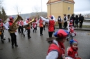 Festumzug-Fasnet-2015-Stockach-Bodensee-Community-SEECHAT_DE-IMG_0374.JPG