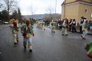 Festumzug-Fasnet-2015-Stockach-Bodensee-Community-SEECHAT_DE-IMG_0377.JPG