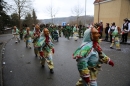 Festumzug-Fasnet-2015-Stockach-Bodensee-Community-SEECHAT_DE-IMG_0381.JPG