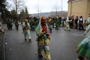 Festumzug-Fasnet-2015-Stockach-Bodensee-Community-SEECHAT_DE-IMG_0382.JPG