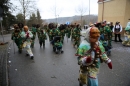 Festumzug-Fasnet-2015-Stockach-Bodensee-Community-SEECHAT_DE-IMG_0384.JPG