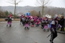 Festumzug-Fasnet-2015-Stockach-Bodensee-Community-SEECHAT_DE-IMG_9937.JPG