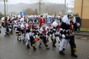 Festumzug-Fasnet-2015-Stockach-Bodensee-Community-SEECHAT_DE-IMG_9975.JPG