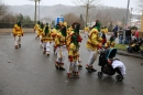 Festumzug-Fasnet-2015-Stockach-Bodensee-Community-SEECHAT_DE-IMG_9987.JPG