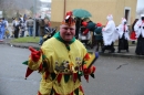 Festumzug-Fasnet-2015-Stockach-Bodensee-Community-SEECHAT_DE-IMG_9992.JPG