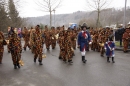 Festumzug-Fasnet-2015-Stockach-Bodensee-Community-SEECHAT_DE-_139_.JPG