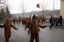 Festumzug-Fasnet-2015-Stockach-Bodensee-Community-SEECHAT_DE-_140_.JPG