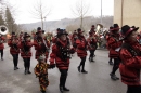 Festumzug-Fasnet-2015-Stockach-Bodensee-Community-SEECHAT_DE-_145_.JPG