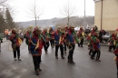 Festumzug-Fasnet-2015-Stockach-Bodensee-Community-SEECHAT_DE-_147_.JPG