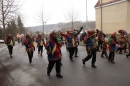 Festumzug-Fasnet-2015-Stockach-Bodensee-Community-SEECHAT_DE-_148_.JPG