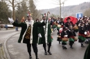 Festumzug-Fasnet-2015-Stockach-Bodensee-Community-SEECHAT_DE-_158_.JPG