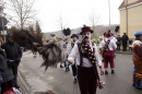 Festumzug-Fasnet-2015-Stockach-Bodensee-Community-SEECHAT_DE-_178_.JPG