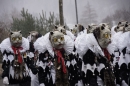 Festumzug-Fasnet-2015-Stockach-Bodensee-Community-SEECHAT_DE-_25_.JPG