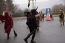 Festumzug-Fasnet-2015-Stockach-Bodensee-Community-SEECHAT_DE-_30_.JPG