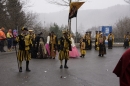 Festumzug-Fasnet-2015-Stockach-Bodensee-Community-SEECHAT_DE-_31_.JPG