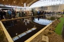 AQUA-FISCH-07-03-2015-Messe-Friedrichshafen-Bodensee-Community-SEECHAT_DE-_27_.JPG