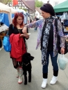 Flohmarkt-Bad-Saulgau-080515-Bodensee-Community-SEECHAT_DE-_97_.JPG