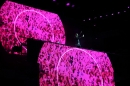 WORLDCLUBDOME-DAVID-GUETTA-Frankfurt-07062015-Bodensee-Community-SEECHAT_DE-IMG_3661.JPG