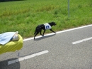 SlowUp-Schaffhausen-Hegau-14-06-2015-Bodensee-Community-seechat-de-P1020907.JPG