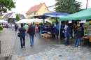 Hafenfest-Ludwigshafen-270615-Bodensee-Community-SEECHAT_DE-IMG_7075.JPG