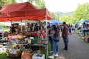 Hafenfest-Ludwigshafen-270615-Bodensee-Community-SEECHAT_DE-IMG_7138.JPG