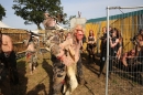 WACKEN-WOA-Festival-01082015-Bodensee-Community-SEECHAT_DE-IMG_9196.JPG