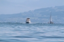 Bodenseequerung-Juergen-Rechenberger-220815-Bodensee-Community-SEECHAT_DE-IMG_1895.JPG