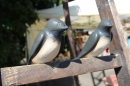 Toepfermarkt-Ueberlingen-290815-Bodensee-Community-SEECHAT_DE-IMG_2068.JPG