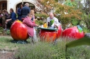 Herbstmarkt-Frickingen-13915-Bodensee-Community-SEECHAT_DE-IMG_2775.JPG